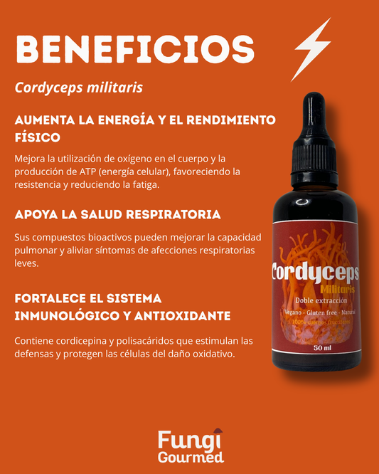 Extracto Cordyceps Militaris 50ml