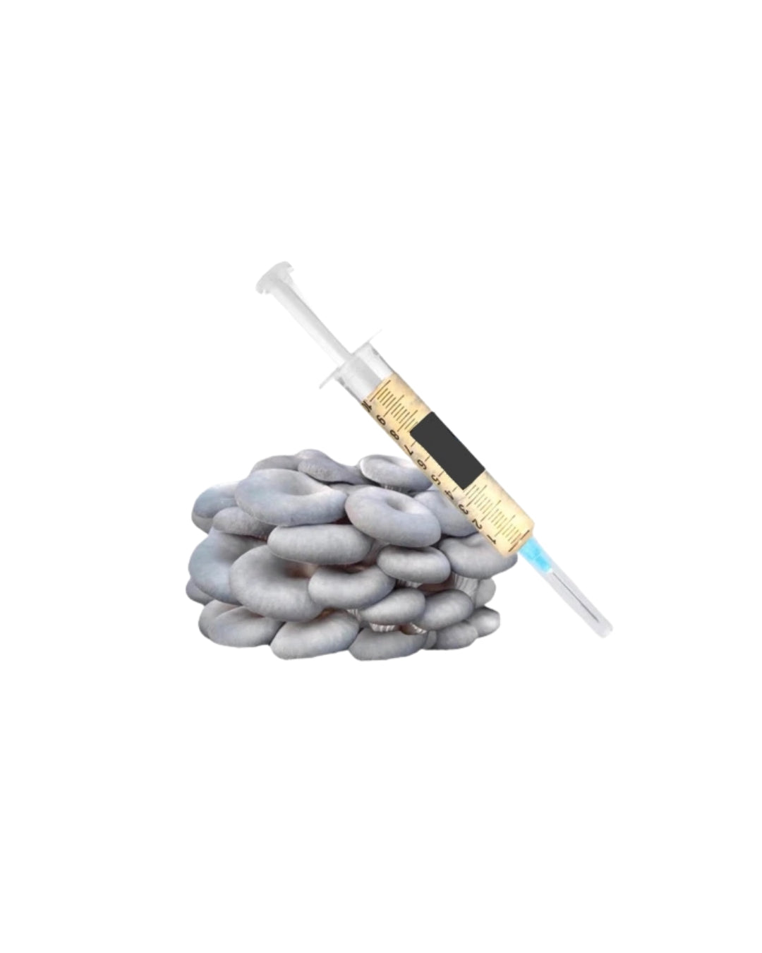 Viales de 10ml - Micelio Activo Para el cultivo de hongos gourmet.