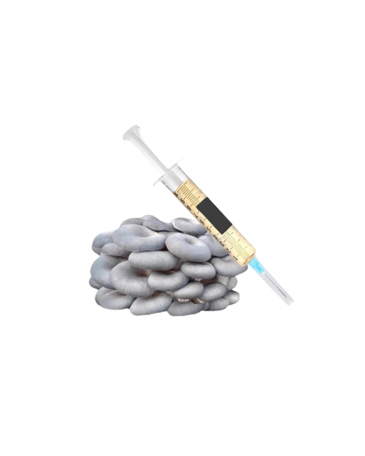 Pack de 2 viales de 10ml c/u - Micelio Activo Para el cultivo de hongos gourmet.