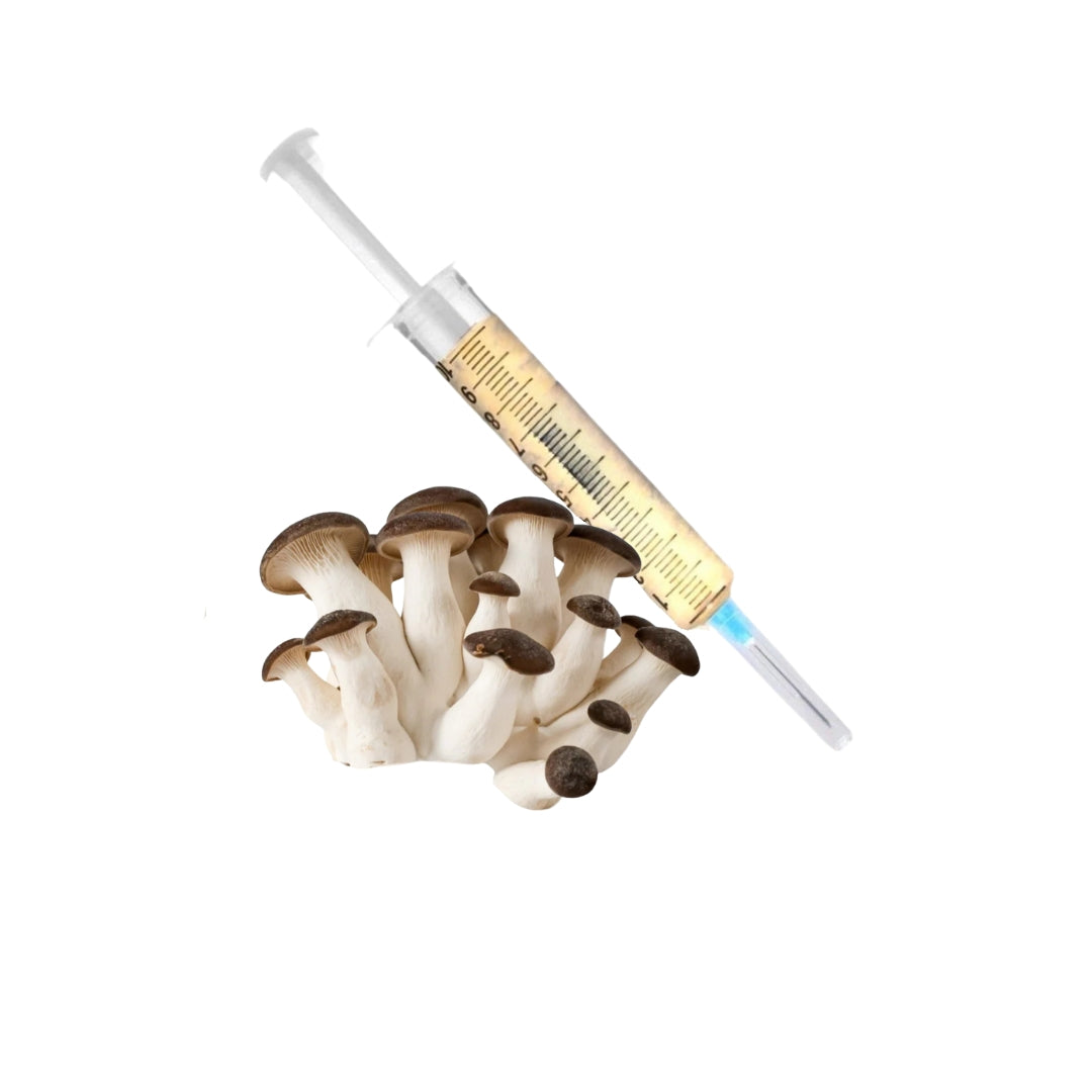 Viales de 10ml - Micelio Activo Para el cultivo de hongos gourmet.