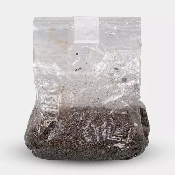 Sustrato para el culitvo de hongos 2kg aprox - Fungigourmed