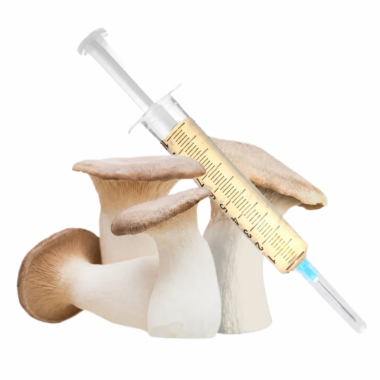 Viales de 10ml - Micelio Activo Para el cultivo de hongos gourmet.
